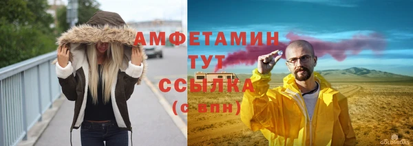 винт Лагань