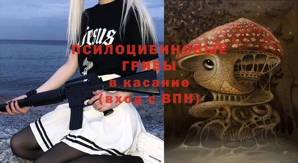 mdpv Лабытнанги