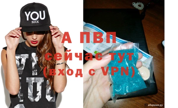 винт Лагань