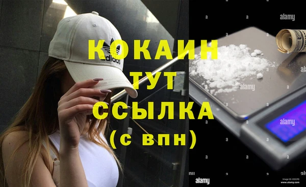 COCAINE Белокуриха