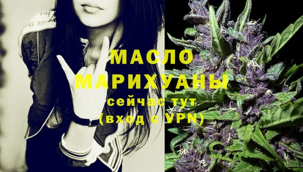 винт Лагань