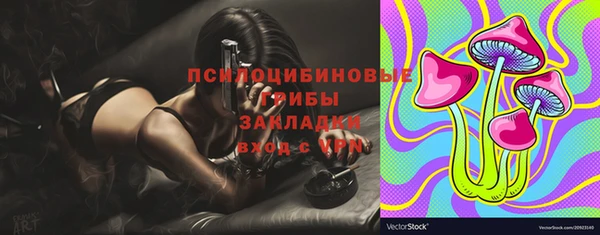 2c-b Лиски