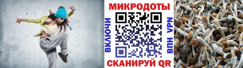что такое   блэк спрут ссылка  Псилоцибиновые грибы мухоморы  Полярный 